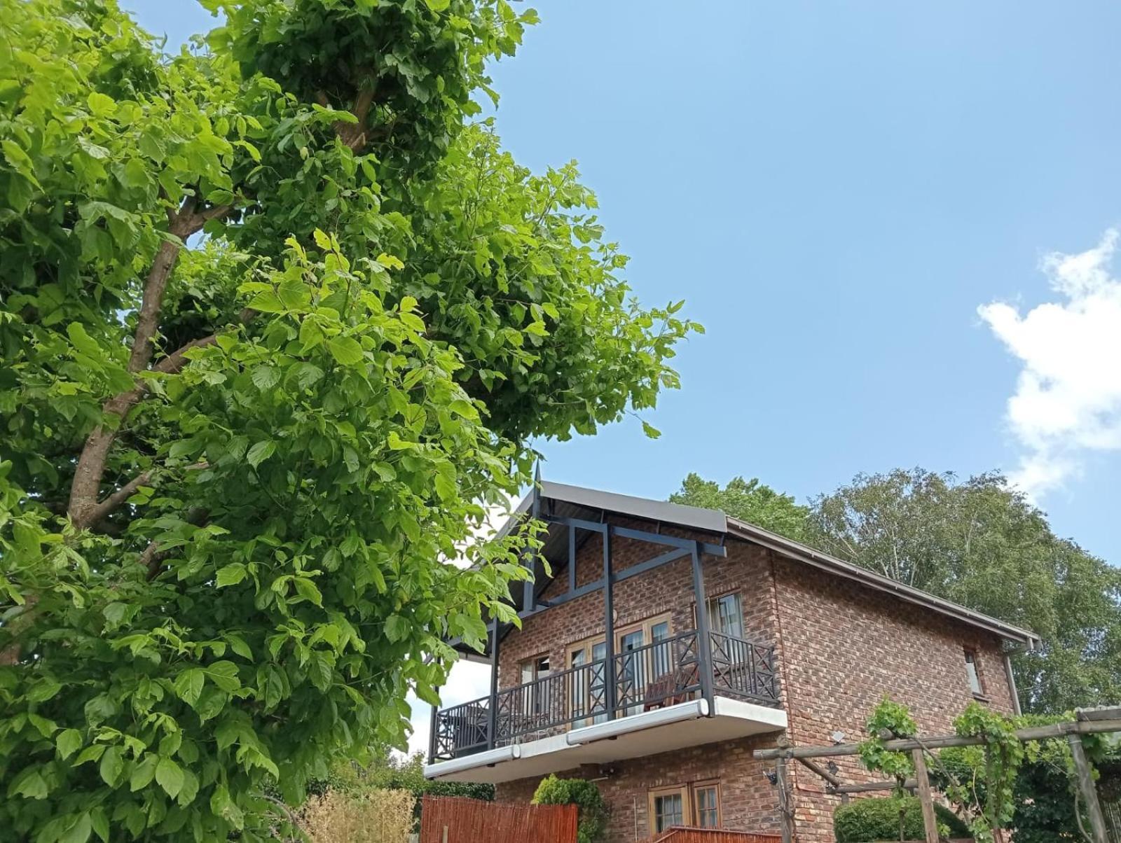 Fairview Cottages 克拉伦斯 外观 照片